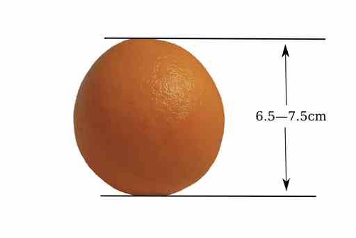 image of measured-orange